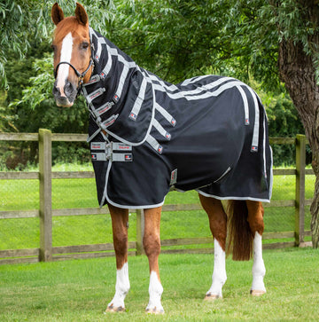 Products for health magnet horse rug block asset mobile